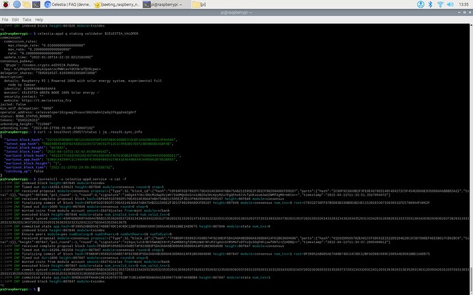 2022-04-11-terminal